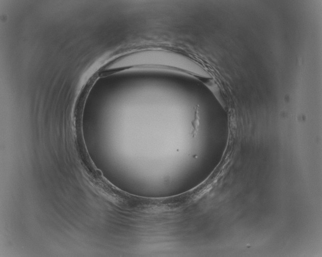 X0000073990246200609111540