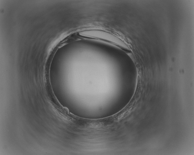 X0000073990248200609111540