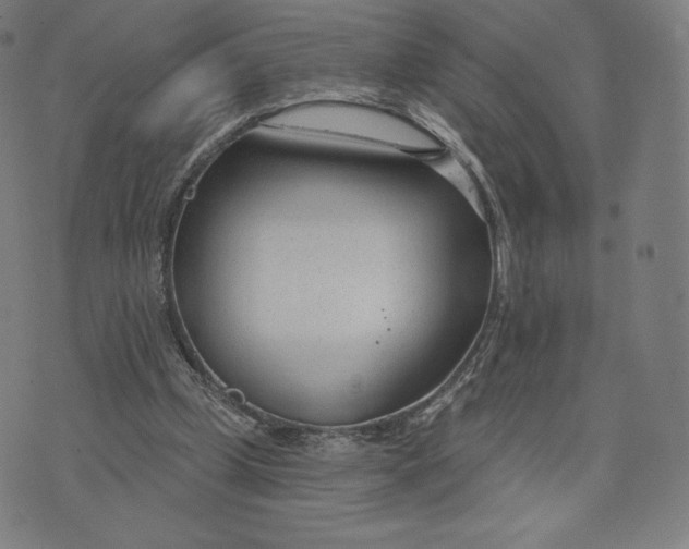 X0000073990249200609111540