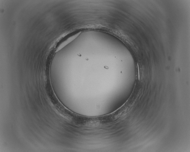 X0000073990252200609111540