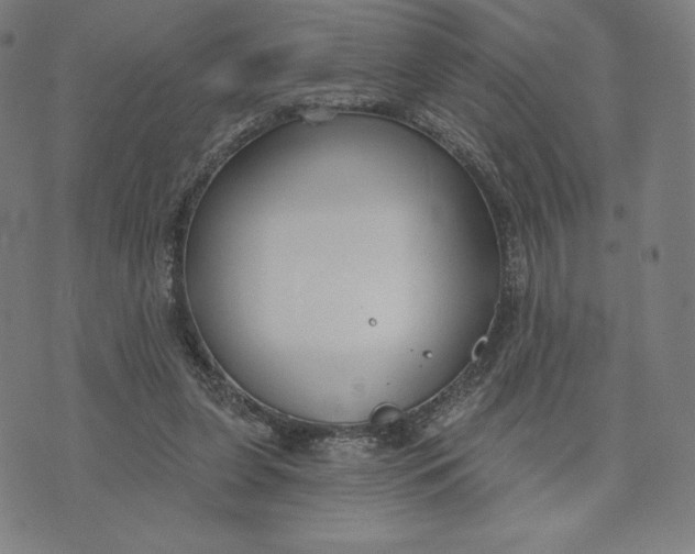 X0000073990255200609111540