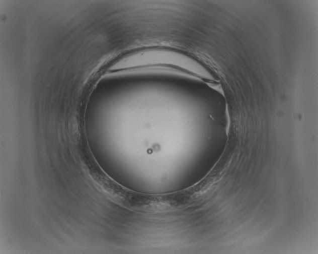 X0000073990256200609111540