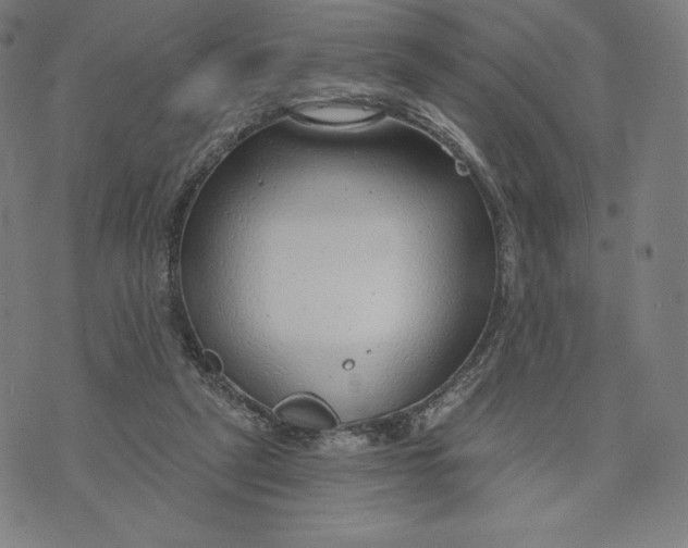 X0000073990257200609111540