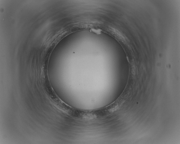 X0000073990258200609111540