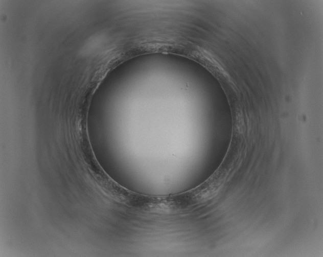 X0000073990259200609111540