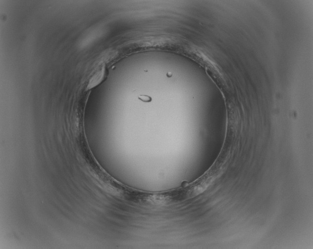 X0000073990261200609111540