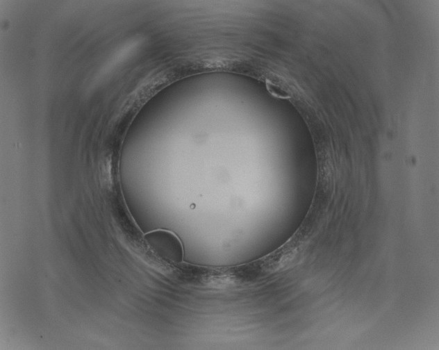 X0000073990262200609111540