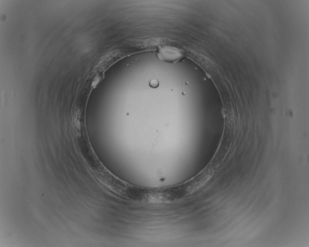 X0000073990264200609111540