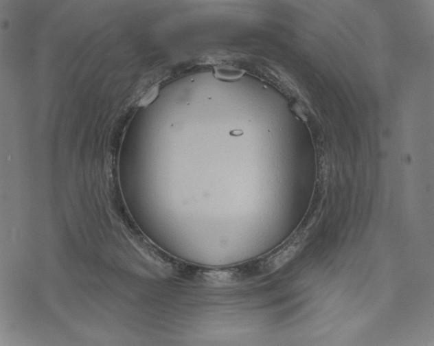 X0000073990265200609111540