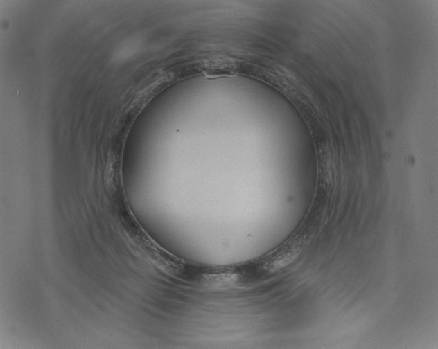 X0000073990266200609111540