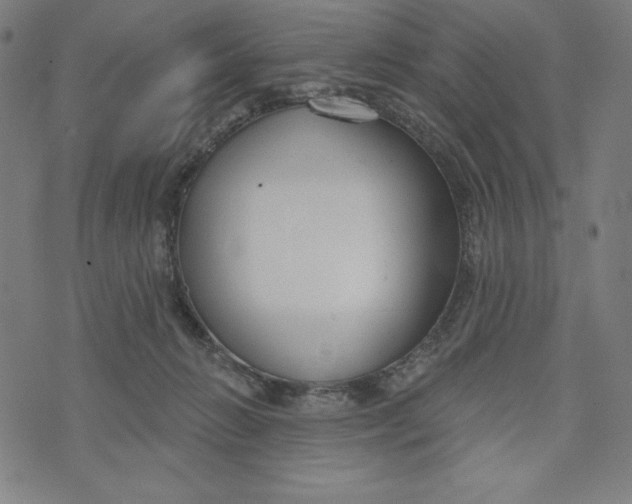 X0000073990270200609111541