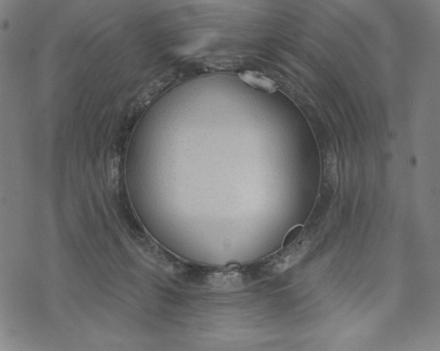 X0000073990271200609111541