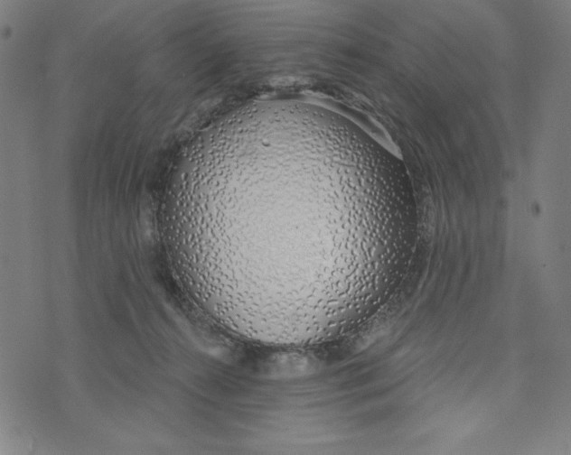 X0000073990272200609111541