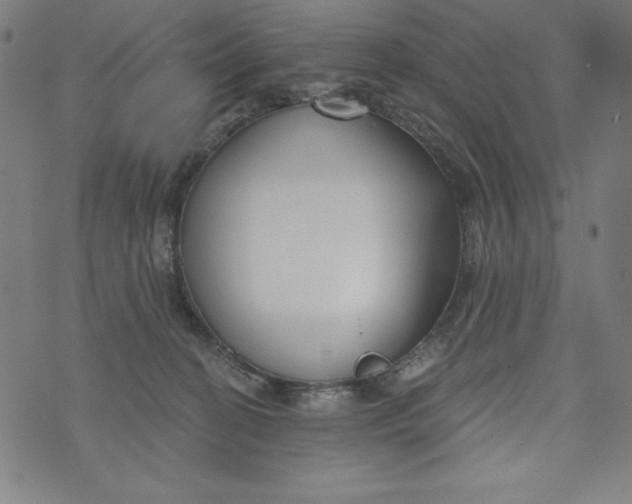 X0000073990274200609111541