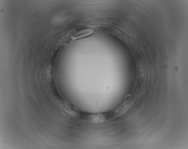 X0000073990275200609111541