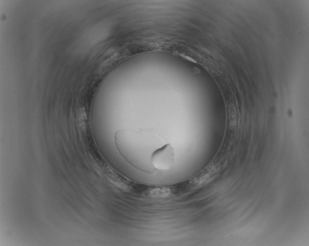 X0000073990279200609111541