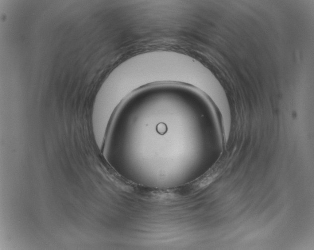 X0000073990284200609111541