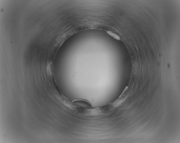 X0000073990286200609111541