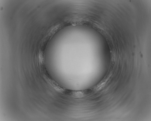 X0000073990287200609111541