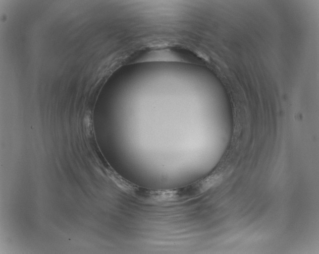 X0000073990288200609111541