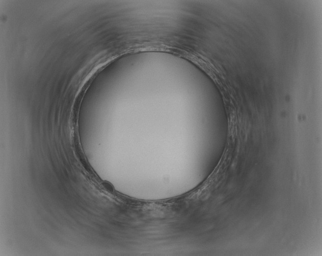 X0000073990290200609111540