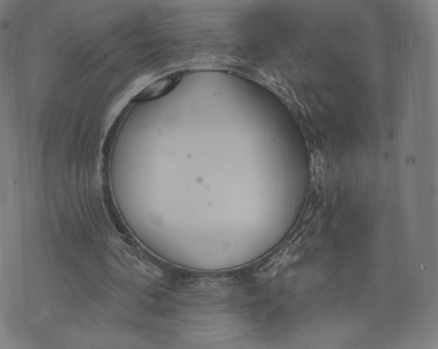 X0000073990292200609111540