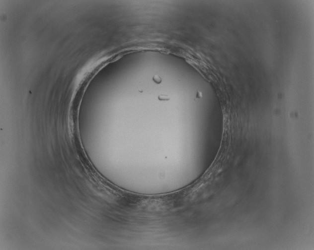 X0000073990294200609111540