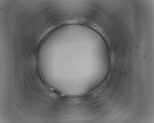 X0000073990297200609111540