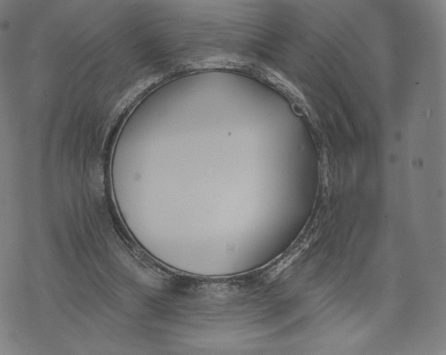 X0000073990298200609111540