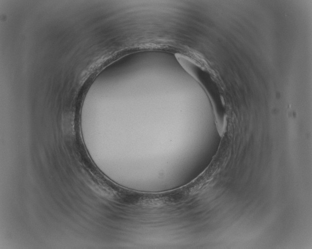 X0000073990299200609111540