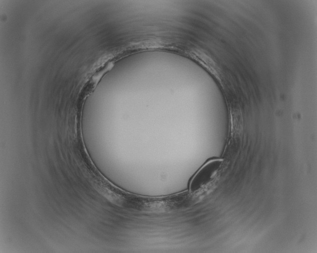 X0000073990301200609111540