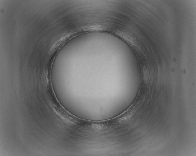 X0000073990302200609111540