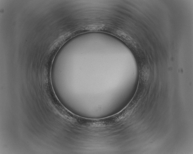 X0000073990303200609111540