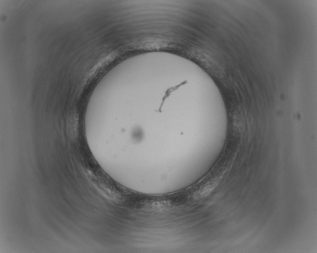 X0000073990304200609111540