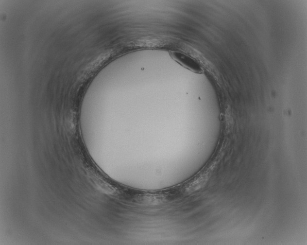 X0000073990305200609111540