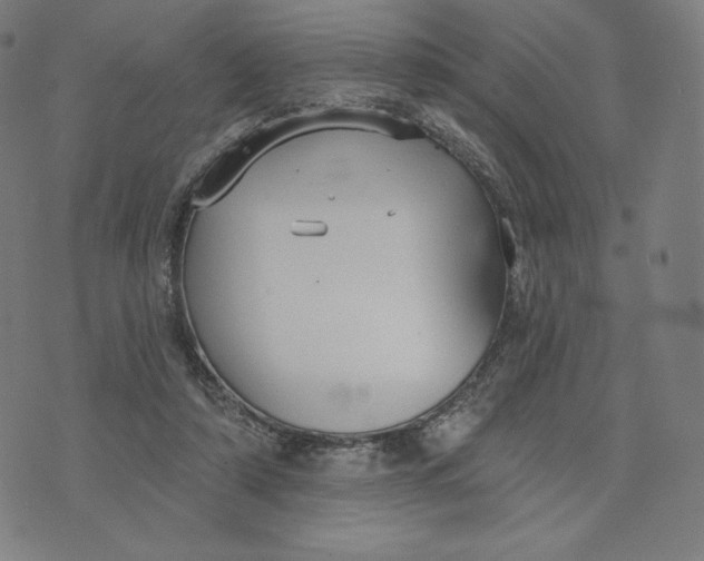 X0000073990306200609111540