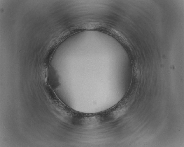 X0000073990307200609111540