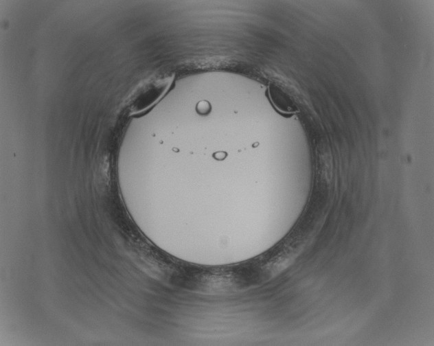 X0000073990308200609111540