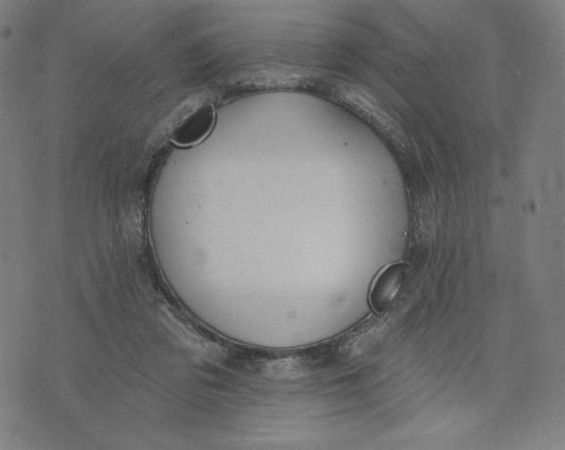 X0000073990309200609111540