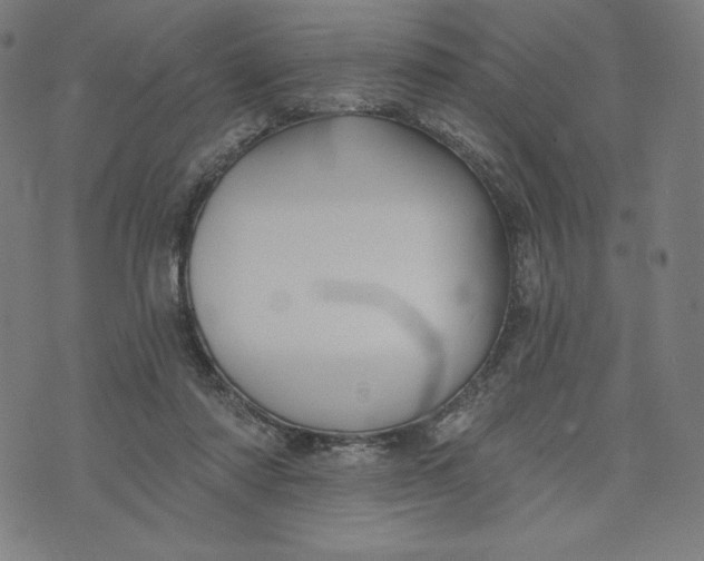 X0000073990310200609111540