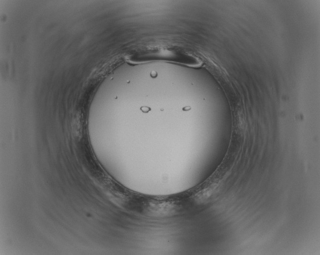 X0000073990311200609111540