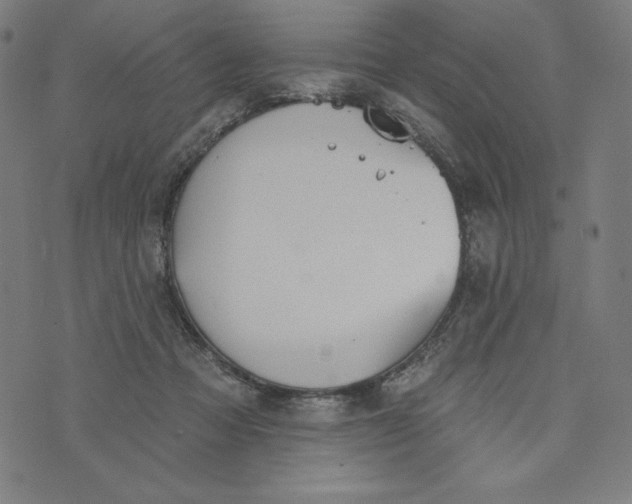 X0000073990313200609111540