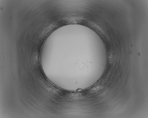 X0000073990314200609111540