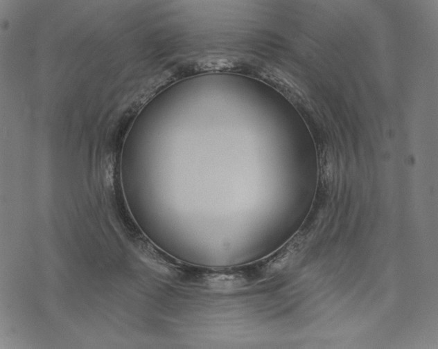 X0000073990315200609111540