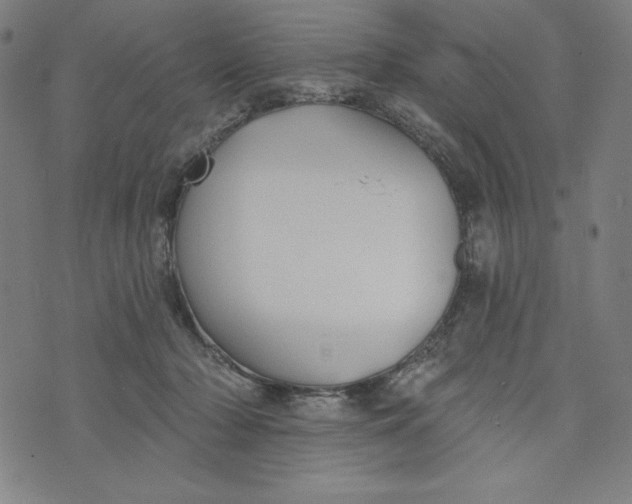 X0000073990318200609111540