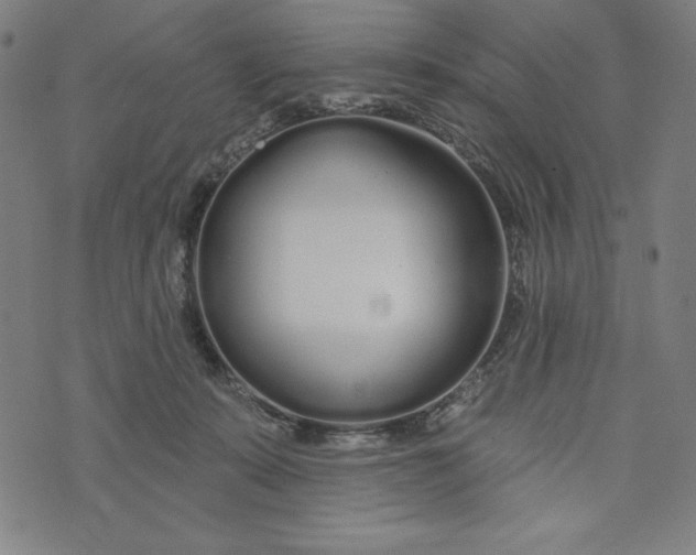 X0000073990319200609111540