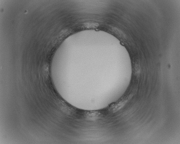 X0000073990321200609111540