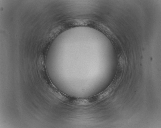 X0000073990322200609111540