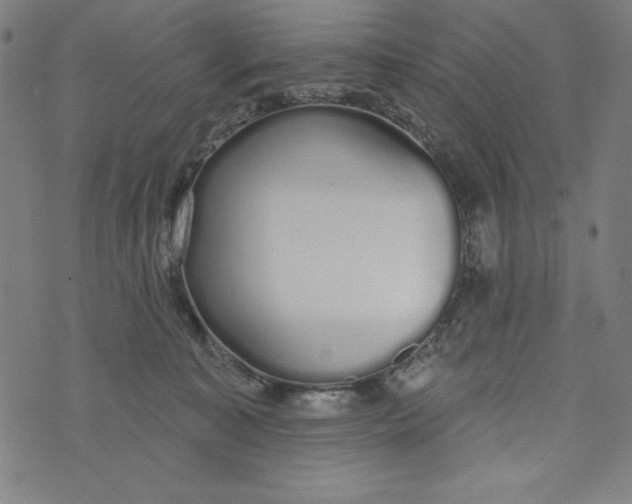 X0000073990323200609111539