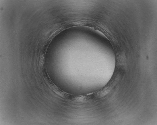 X0000073990325200609111539